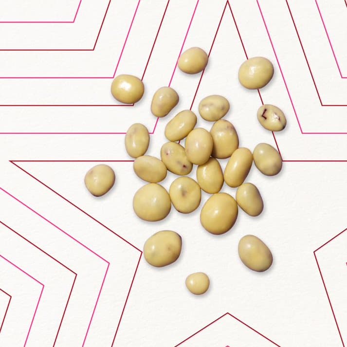 Cranberries in Coats